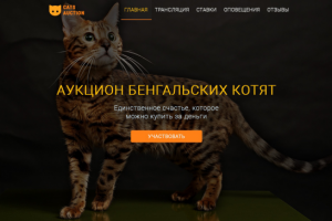 Аукцион бенгальских котят