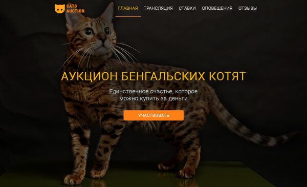 img3139112.png