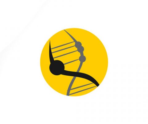 img3651293.png