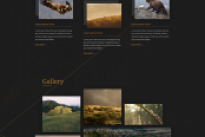 Сайт-портфолио.