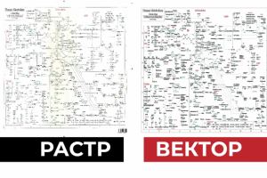 Схема метаболизма в векторе