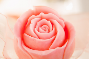 Работа 3658426