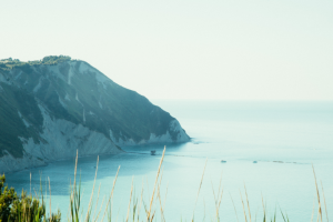 Работа 3658405