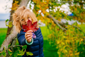 Работа 3658398