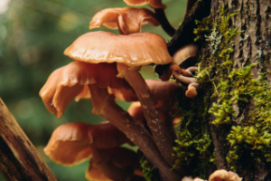 Работа 3658396