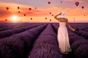 Работа 3952929