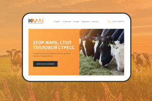 Landing page для семинара