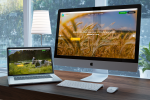 Работа 3982362