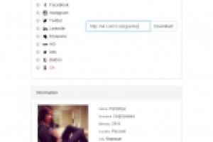 Работа с API множества социальных сетей.