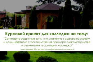 Курсовой проект для колледжа