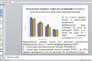 Презентация-отчет