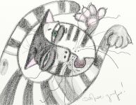 img141753.png