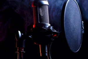 Услуги Диктора.