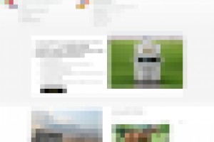 Работа 3099281