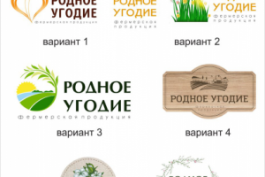 Работа 3240005