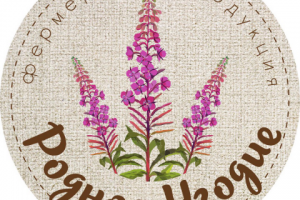 Работа 3240004