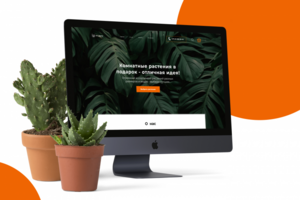 It`s plants