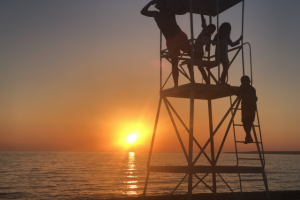 Работа 3700444