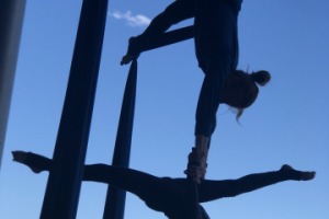 Работа 3700442