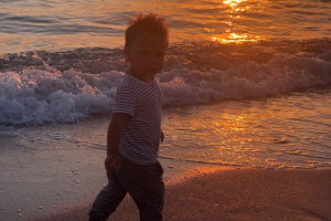 Работа 3700452