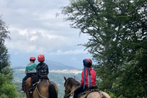 Работа 3700451