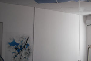 Кабинет. Световое потолочное пано