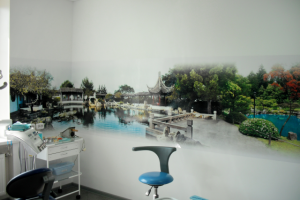 Кабинет. Каймовое оформление стен.