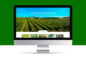 Лендинг для эко-поселка «Шато»