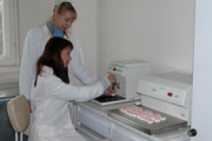 Гистологическое заключение DE-RU