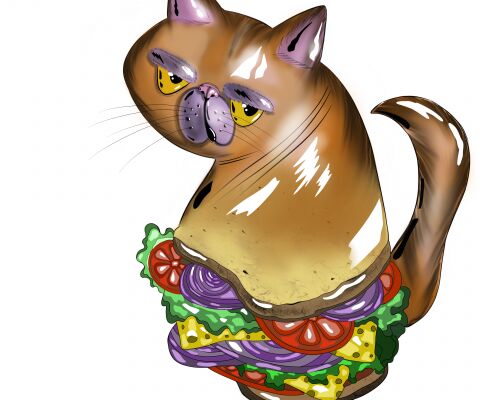 img4170651.png
