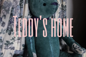 Дизайн баннера для дома медведей ручной работы