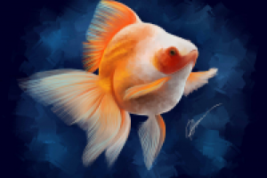 Золотая рыбка