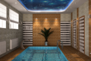 Бассейн в частном доме