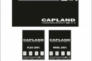 Этикетки с разработкой написания и слогана