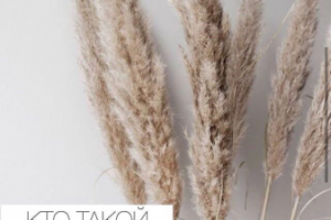 Написание текста к посту / Создание изображения к посту