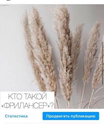img4187073.png