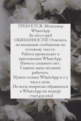 img4187106.png