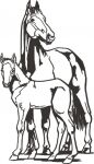 img2302220.png