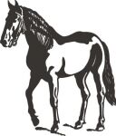 img2302218.png
