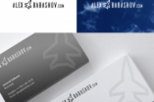 Логотип и визитка для авиа фотографа.