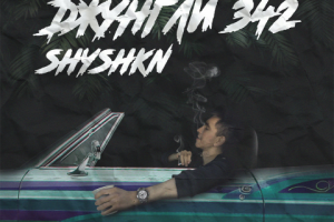 Музыкальная обложка для исполнителя "Shyshkn"