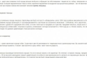 Чихуахуа (для сайта питомника)