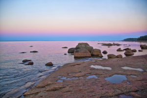 Работа 3208656