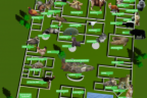 Краснодарский зоопарк