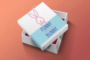 FUNNY BUNNY