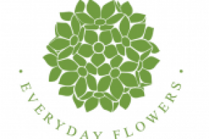 Everyday Flowers