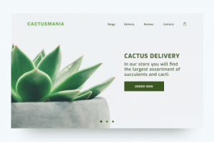 Landing page for cactuses services