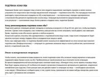 img2865513.png