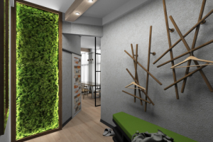 Интерьер прихожей в экодоме (2)