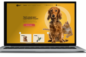 Веб дизайн для магазина животных